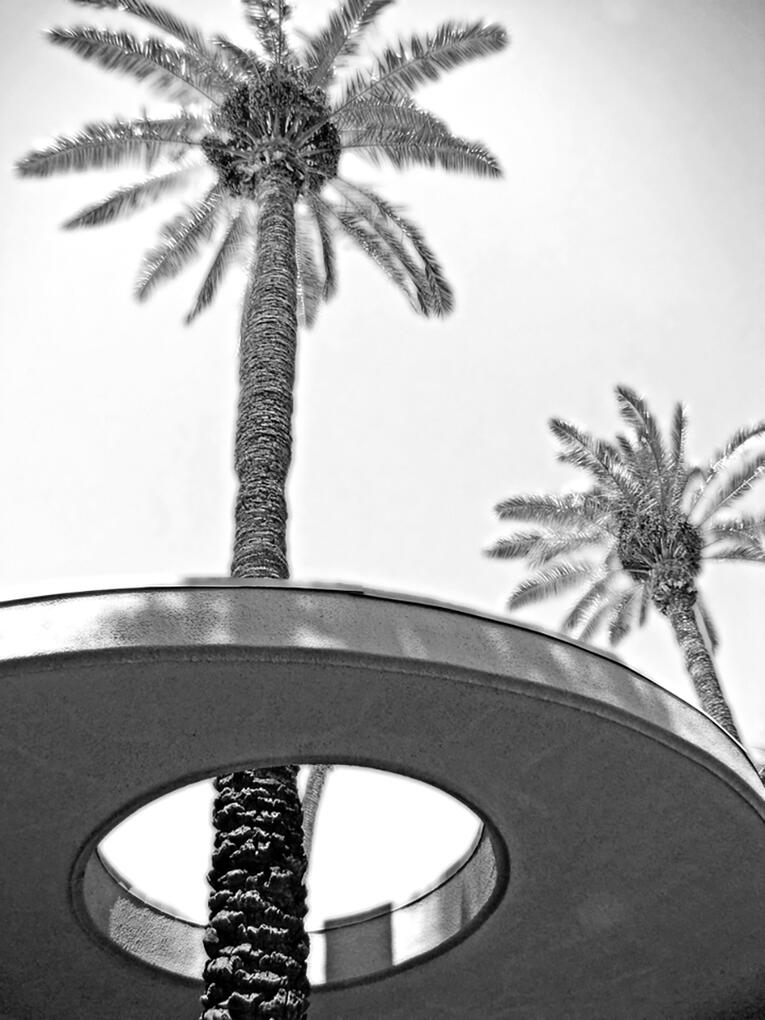 Palm Opening 2