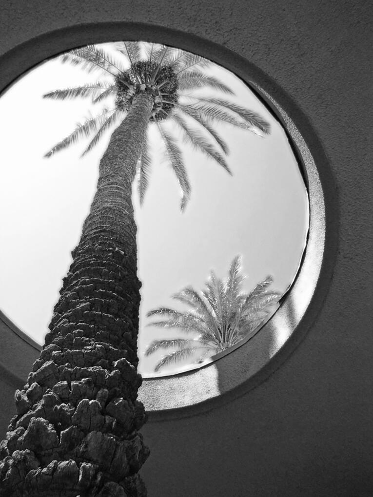 Palm Opening 1