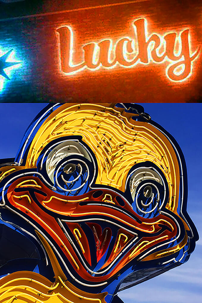 Lucky Duck (Hand cut and assembled photo collage)