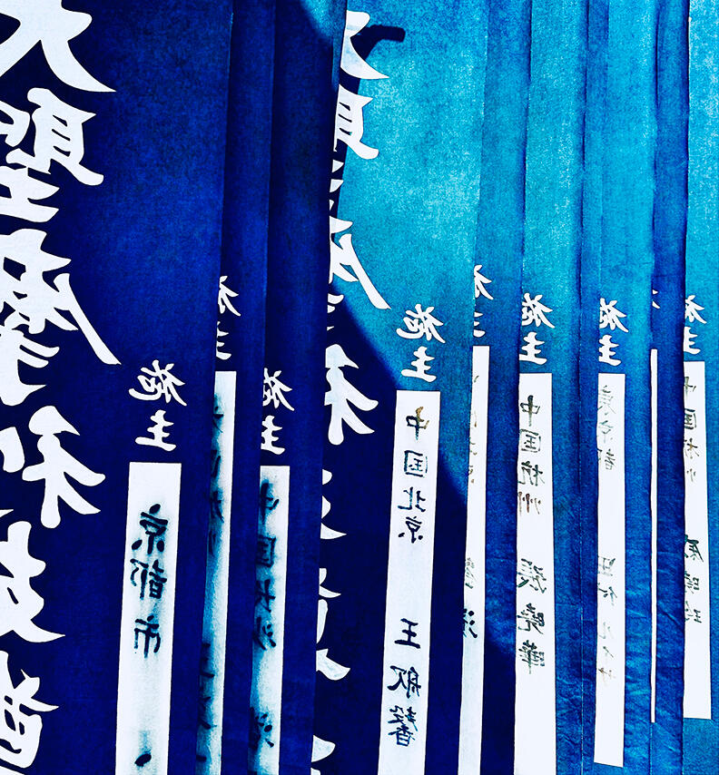 Blue Nobori, Japan