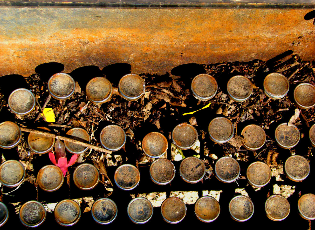 Vintage Typewriter Keys. Photograph